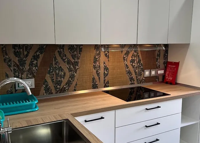 Triton Mansion D26 - Entire Unit Apartament