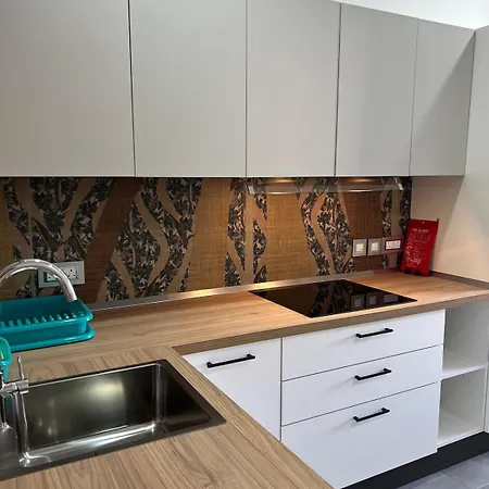 Triton Mansion D26 - Entire Unit شقة
